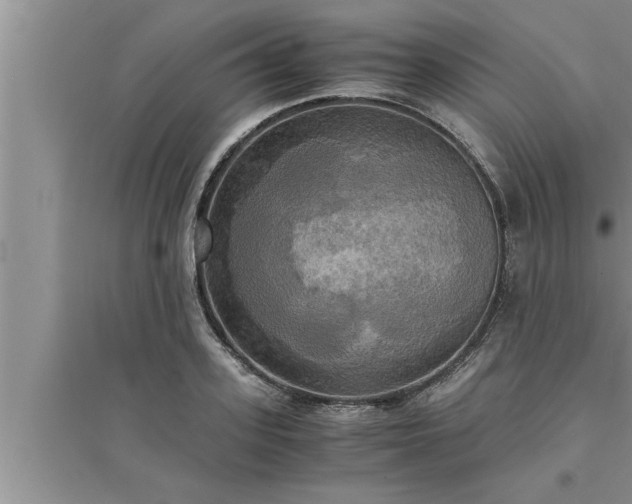 X0000095520939200712211300