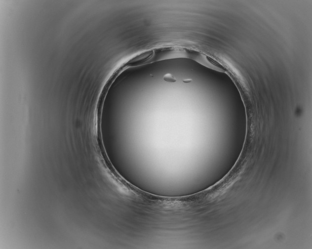 X0000095520940200712211300