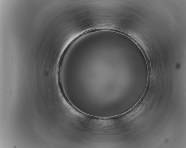 X0000095520941200712211300