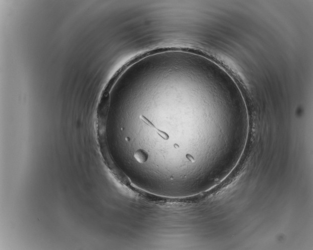 X0000095520942200712211300