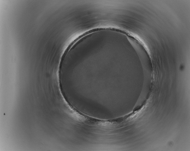 X0000095520943200712211300