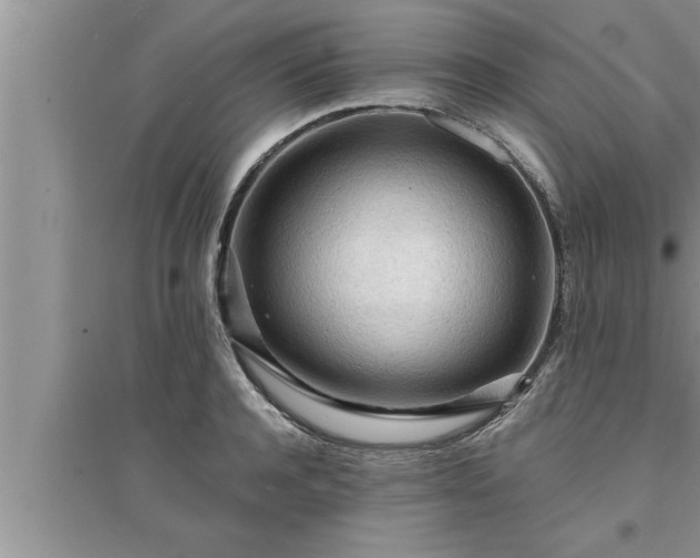 X0000095520944200712211300