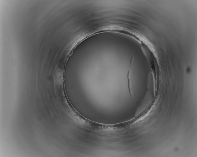 X0000095520945200712211300