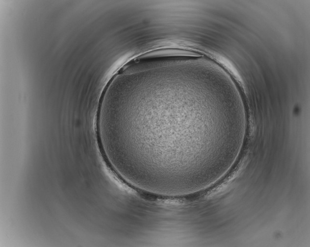 X0000095520946200712211300