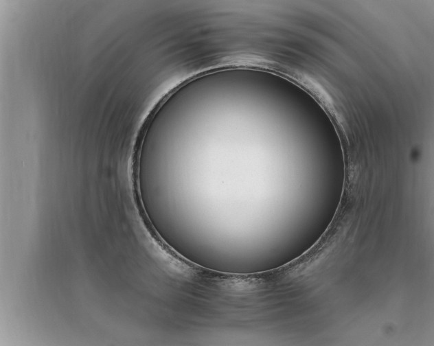 X0000095520947200712211300