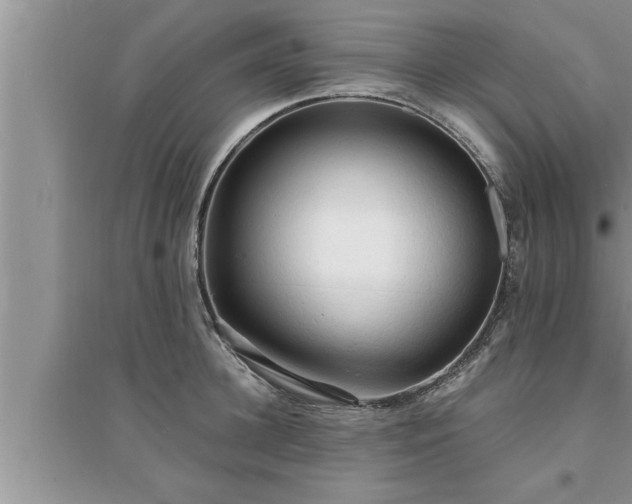 X0000095520948200712211300