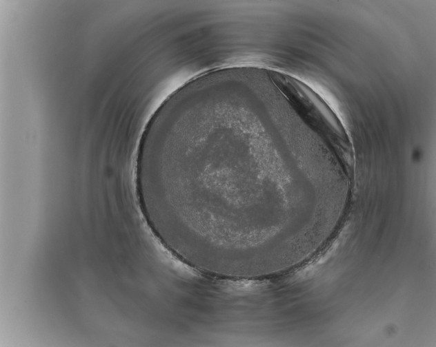 X0000095520949200712211300