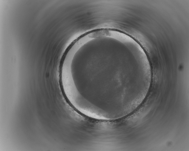 X0000095520950200712211300