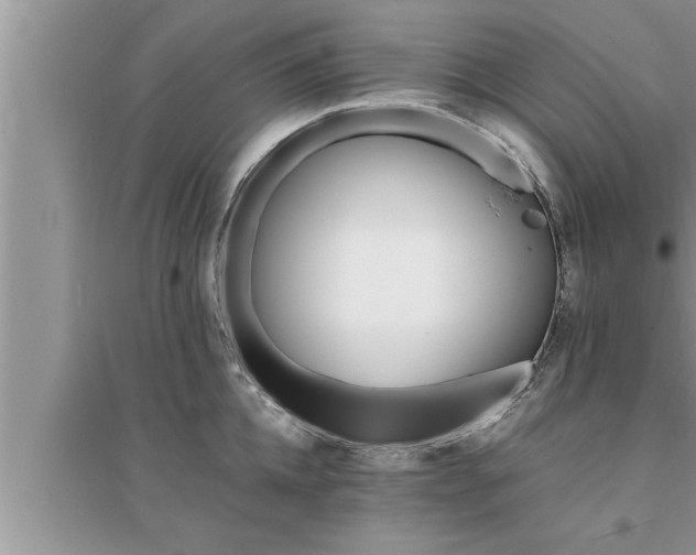 X0000095520952200712211300