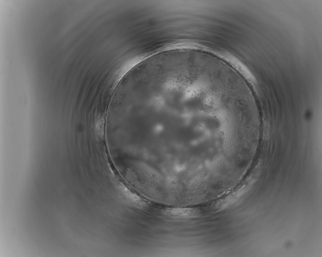 X0000095520953200712211300