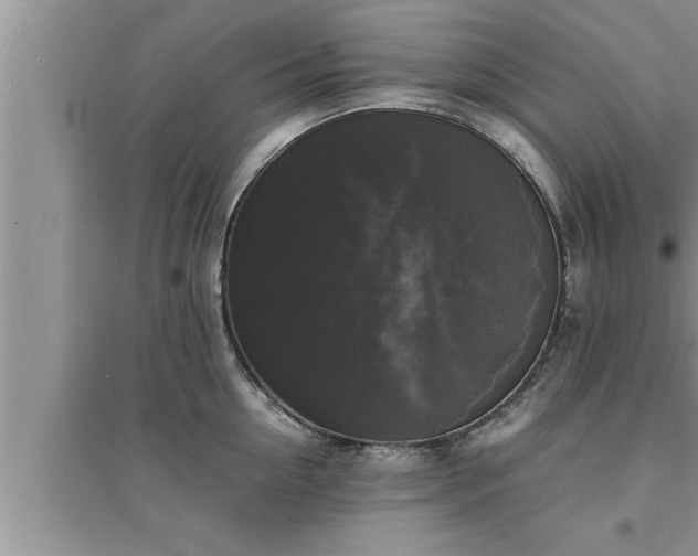 X0000095520954200712211300