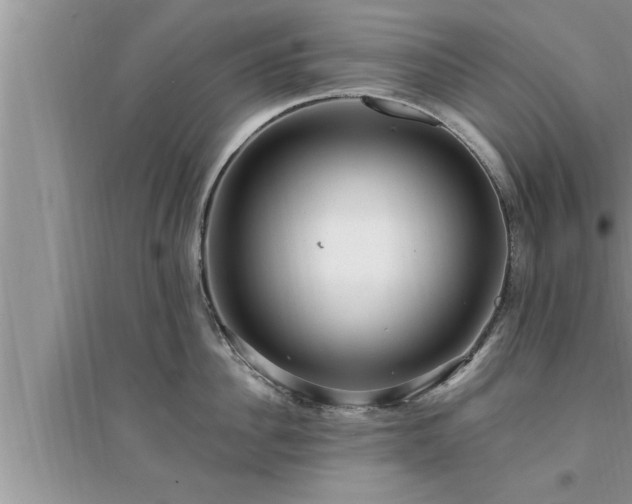 X0000095520956200712211300