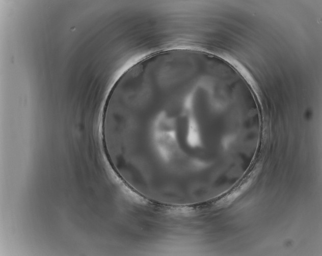 X0000095520957200712211300