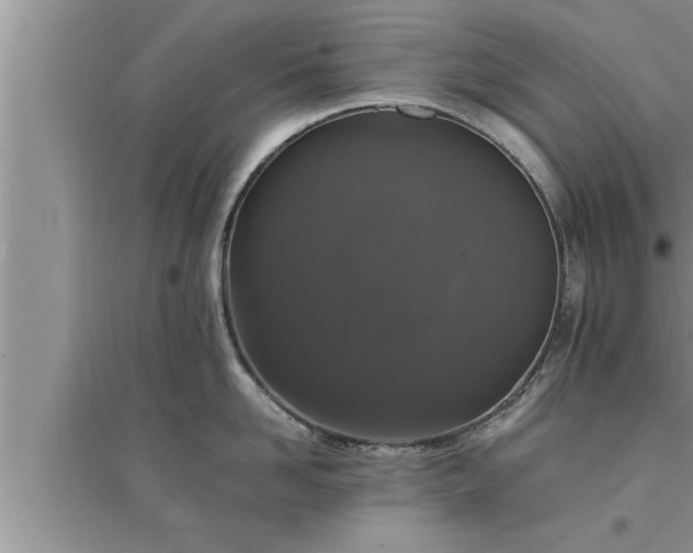 X0000095520958200712211300