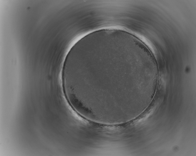 X0000095520959200712211300