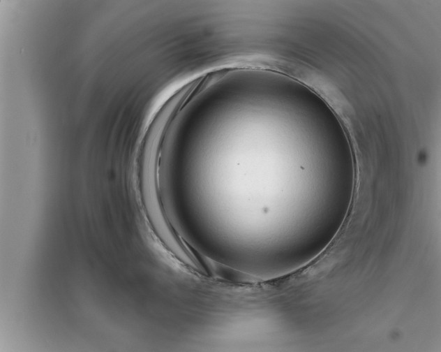 X0000095520960200712211300