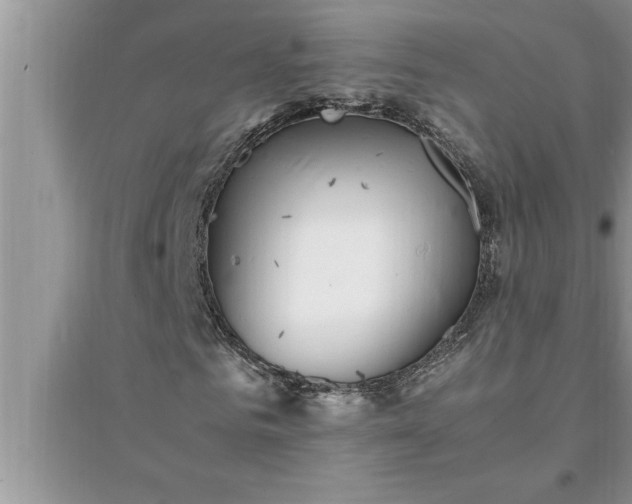 X0000095520961200712211259