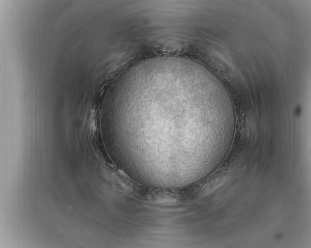 X0000095520962200712211259