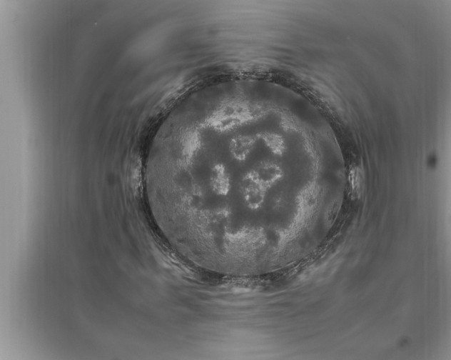 X0000095520963200712211259