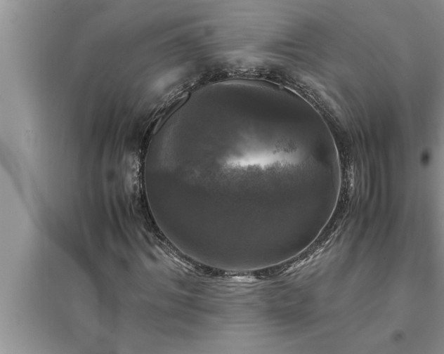 X0000095520964200712211259