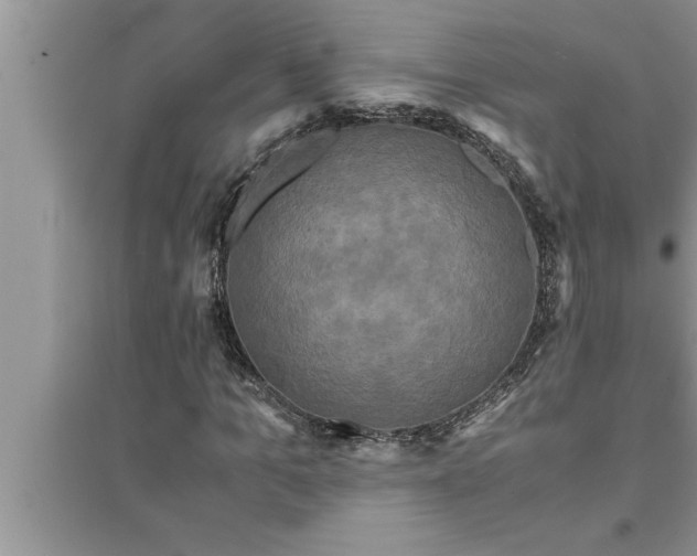 X0000095520965200712211259