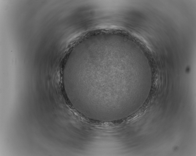 X0000095520966200712211259