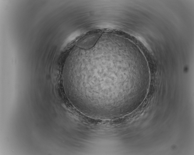 X0000095520967200712211259