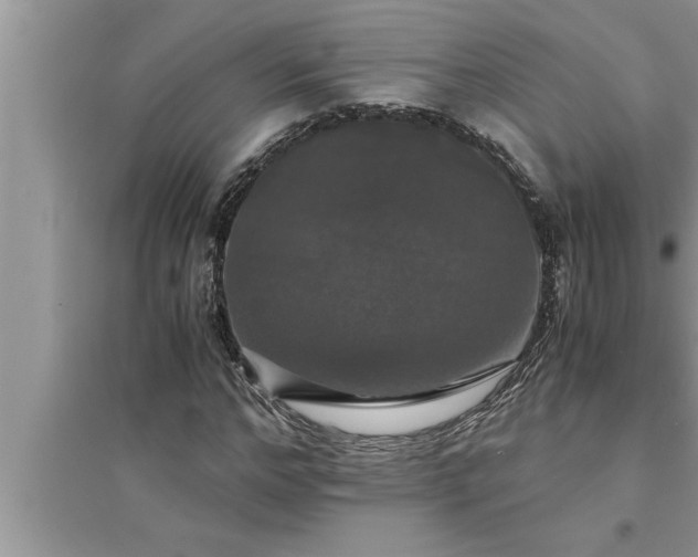 X0000095520968200712211259