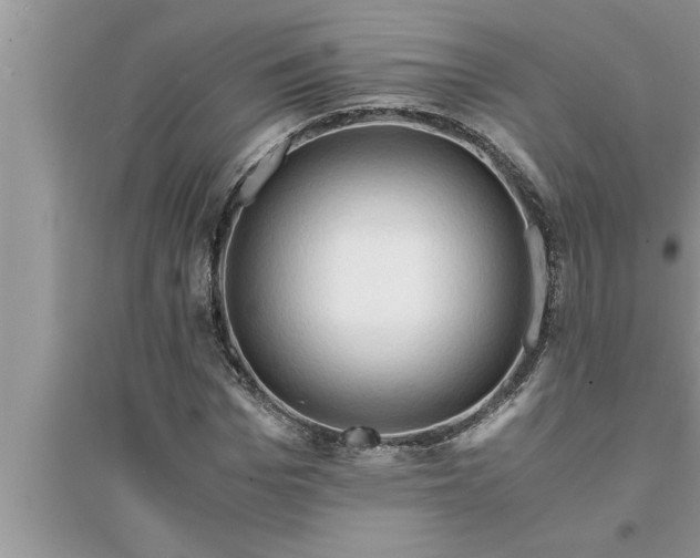 X0000095520969200712211259