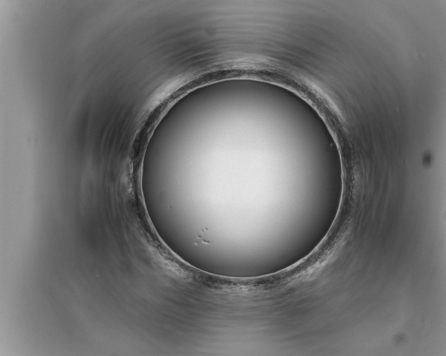 X0000095520970200712211259