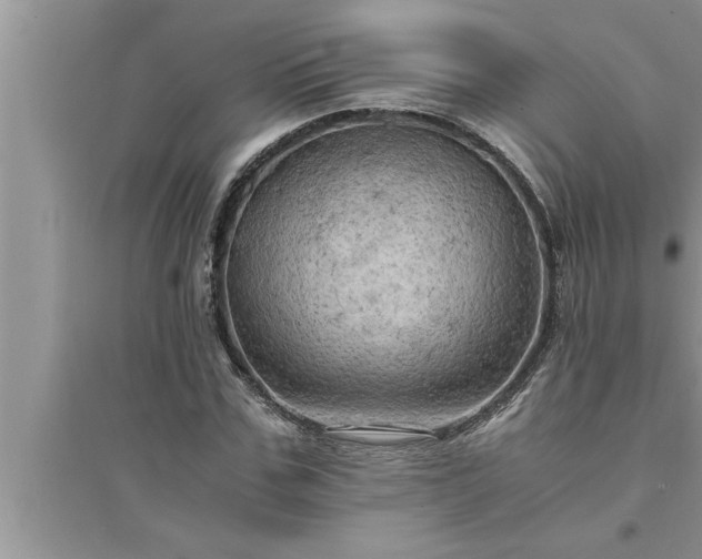 X0000095520971200712211259