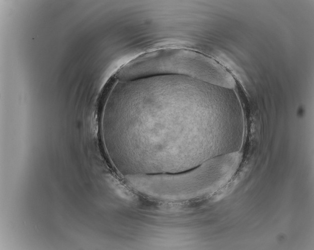 X0000095520973200712211259