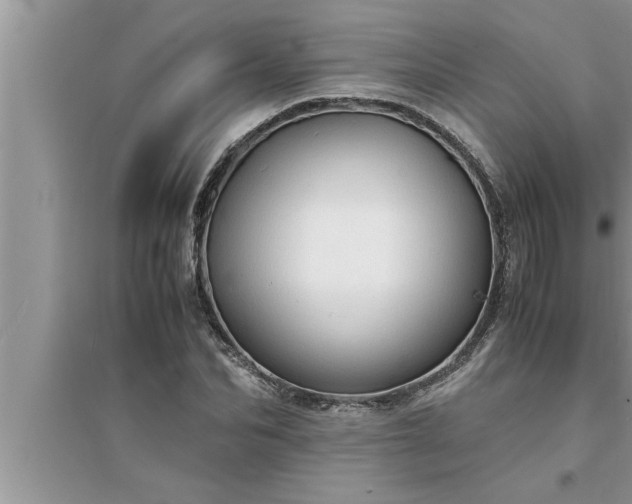 X0000095520974200712211259