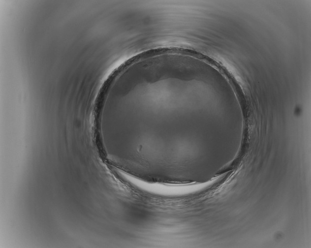 X0000095520975200712211259