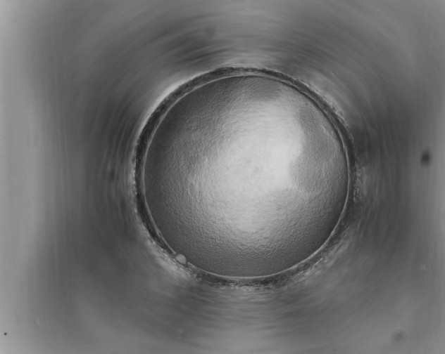 X0000095520976200712211259