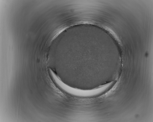 X0000095520977200712211259