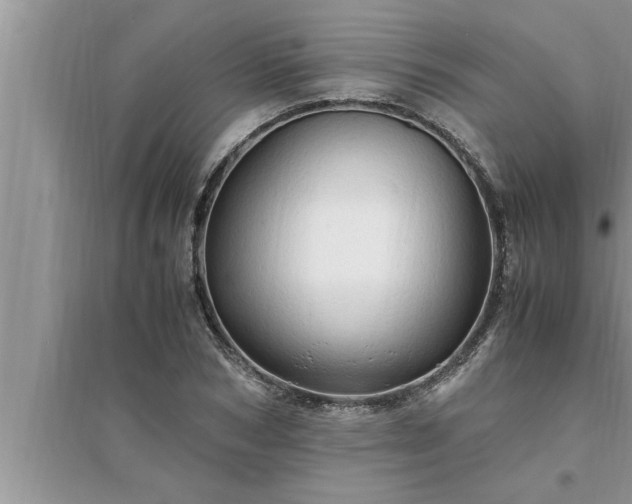 X0000095520978200712211259