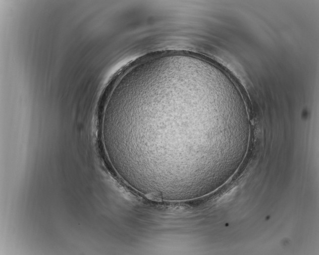 X0000095520979200712211259