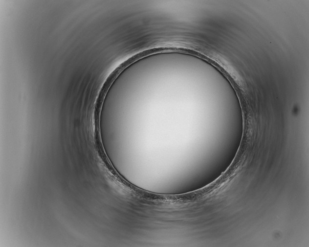 X0000095520980200712211259