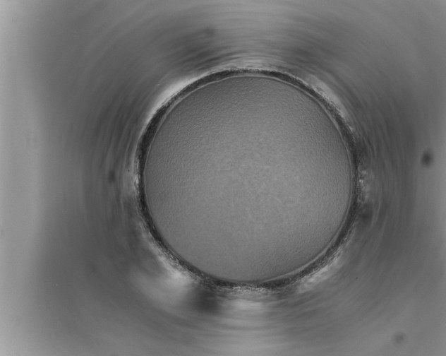 X0000095520981200712211259