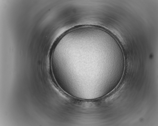 X0000095520982200712211259