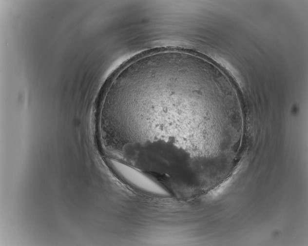 X0000095520983200712211259