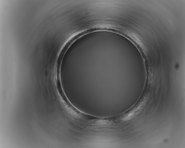 X0000095520984200712211259