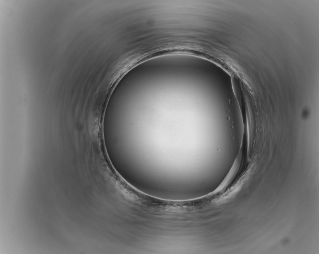 X0000095520985200712211259