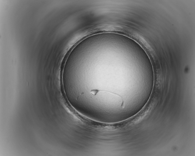 X0000095520986200712211259