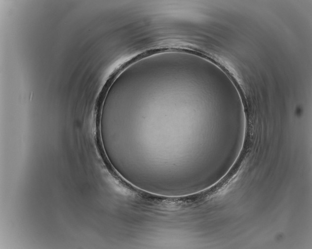 X0000095520987200712211259