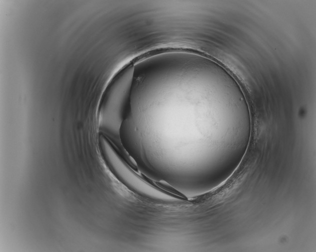 X0000095520988200712211259