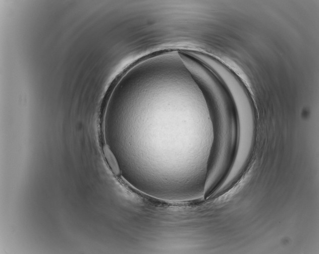 X0000095520989200712211259