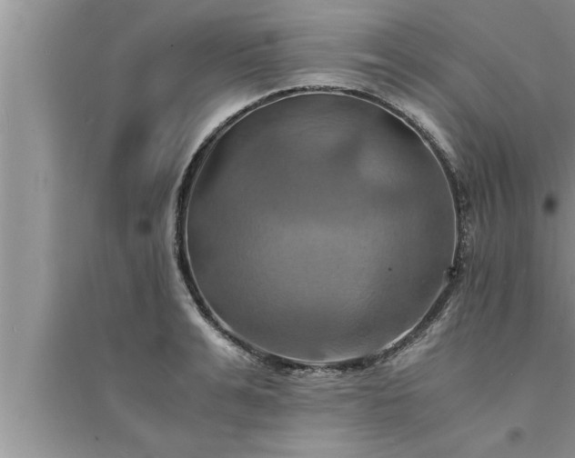 X0000095520991200712211259