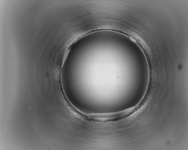 X0000095520993200712211259